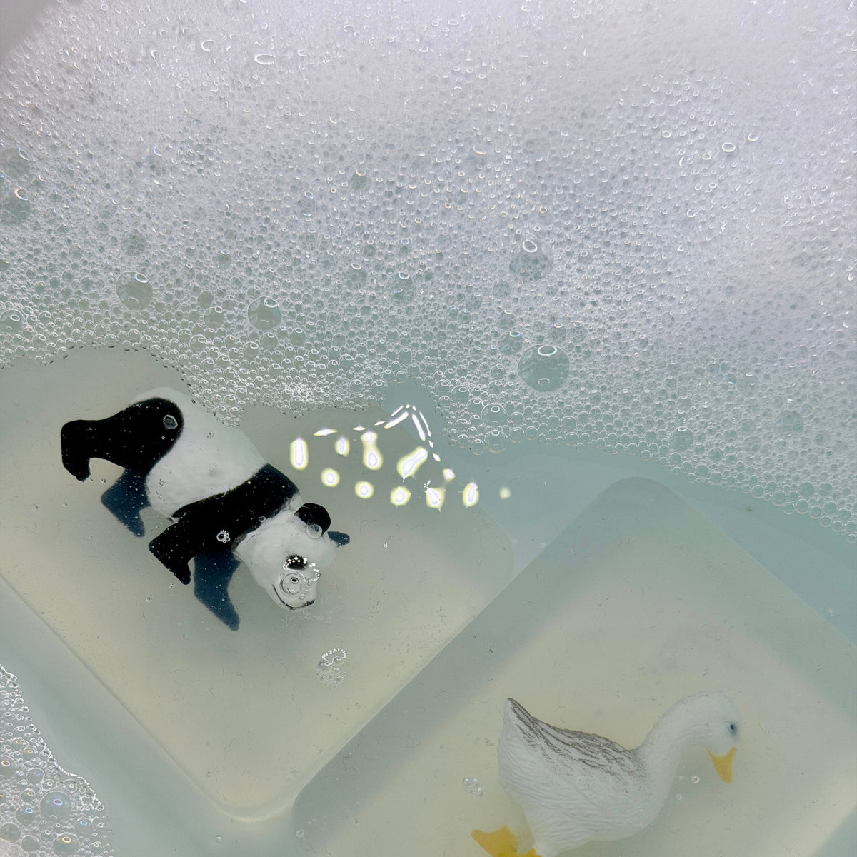 Nos Amis les Animaux