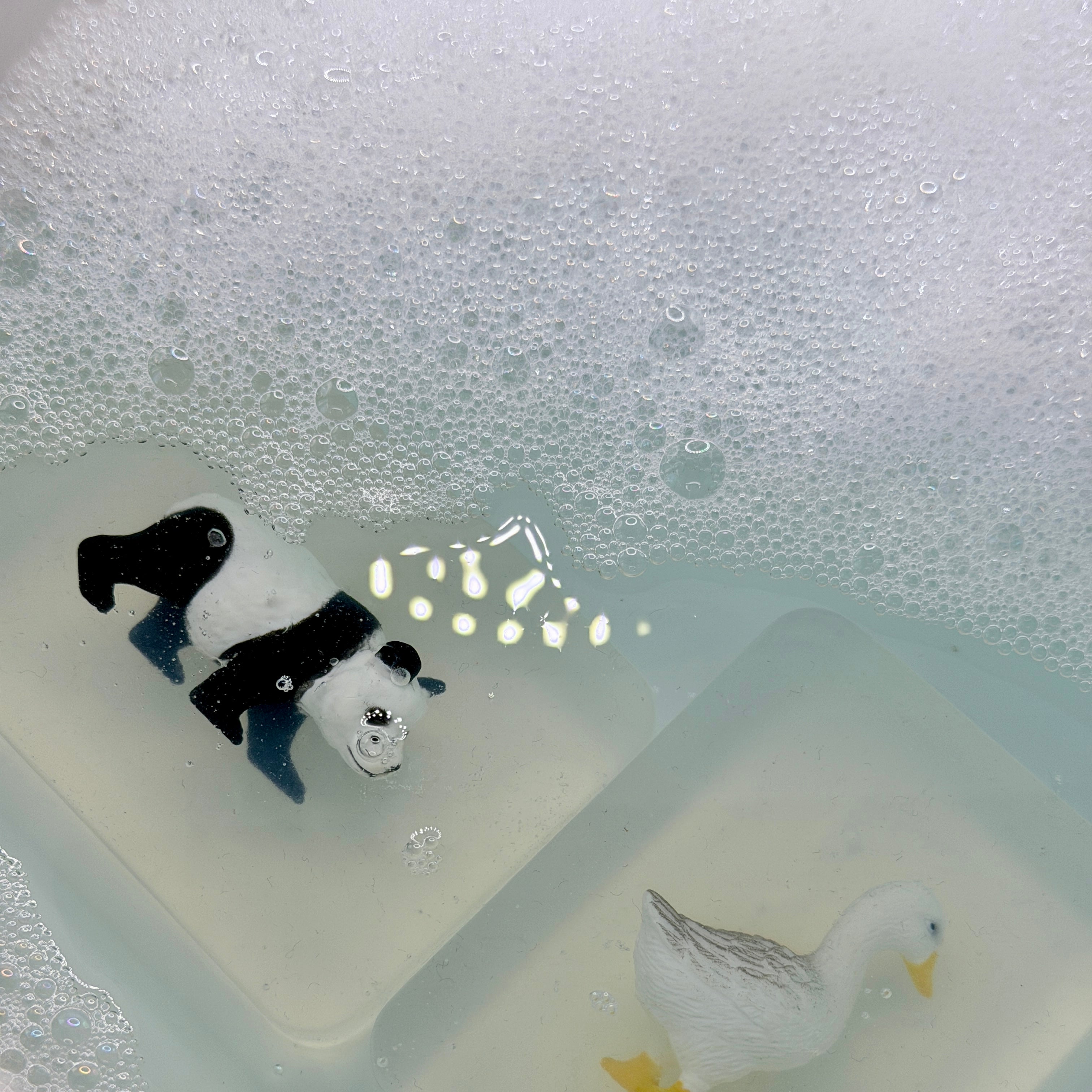 Nos Amis les Animaux